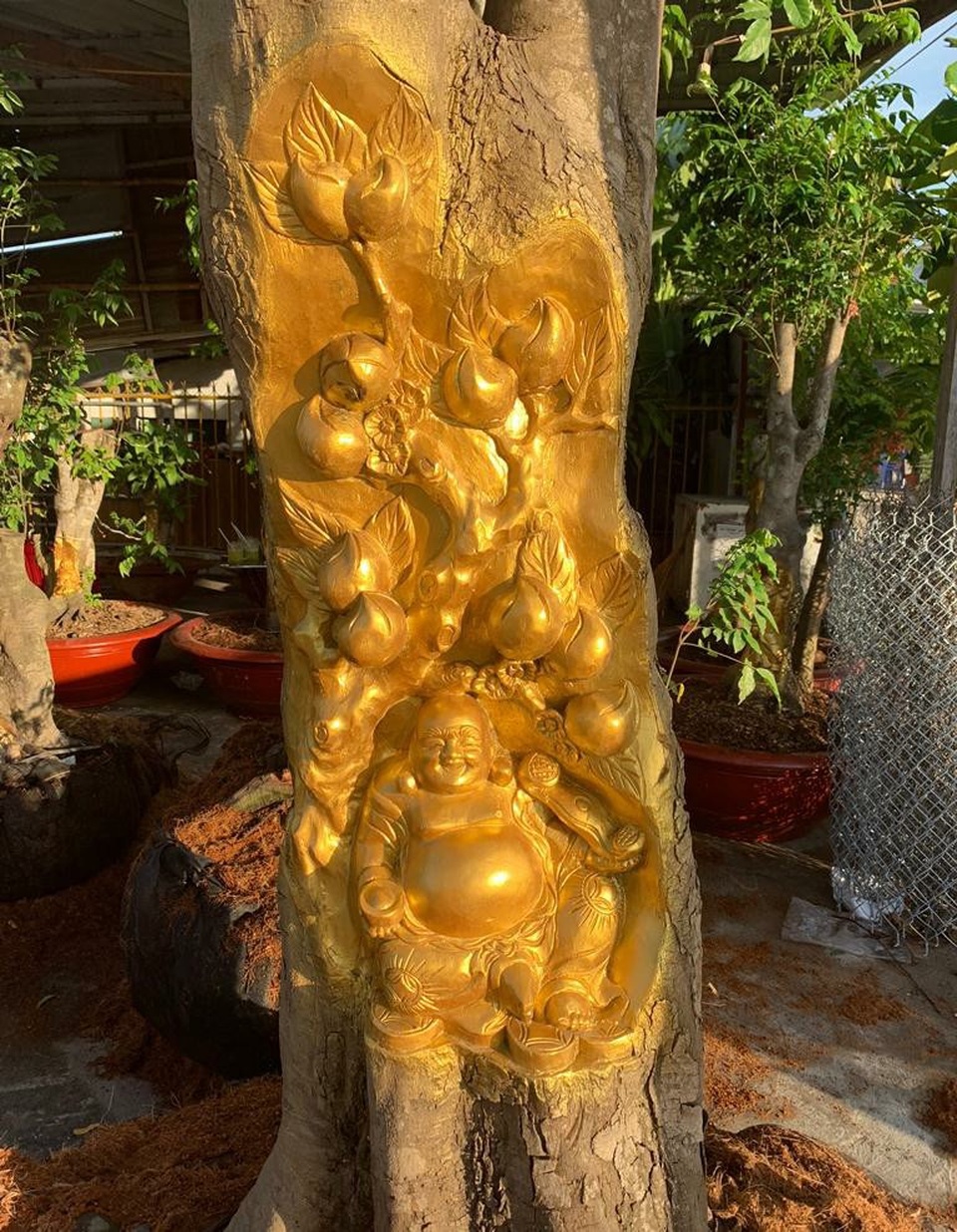 Độc đáo người đàn ông ở Cần Thơ dát vàng lên gốc cây - 11 Anh Việt cho biết, có những gốc chỉ cần vài ngày công là chạm trổ xong nhưng cũng có những gốc mất 20 ngày mới hoàn thành