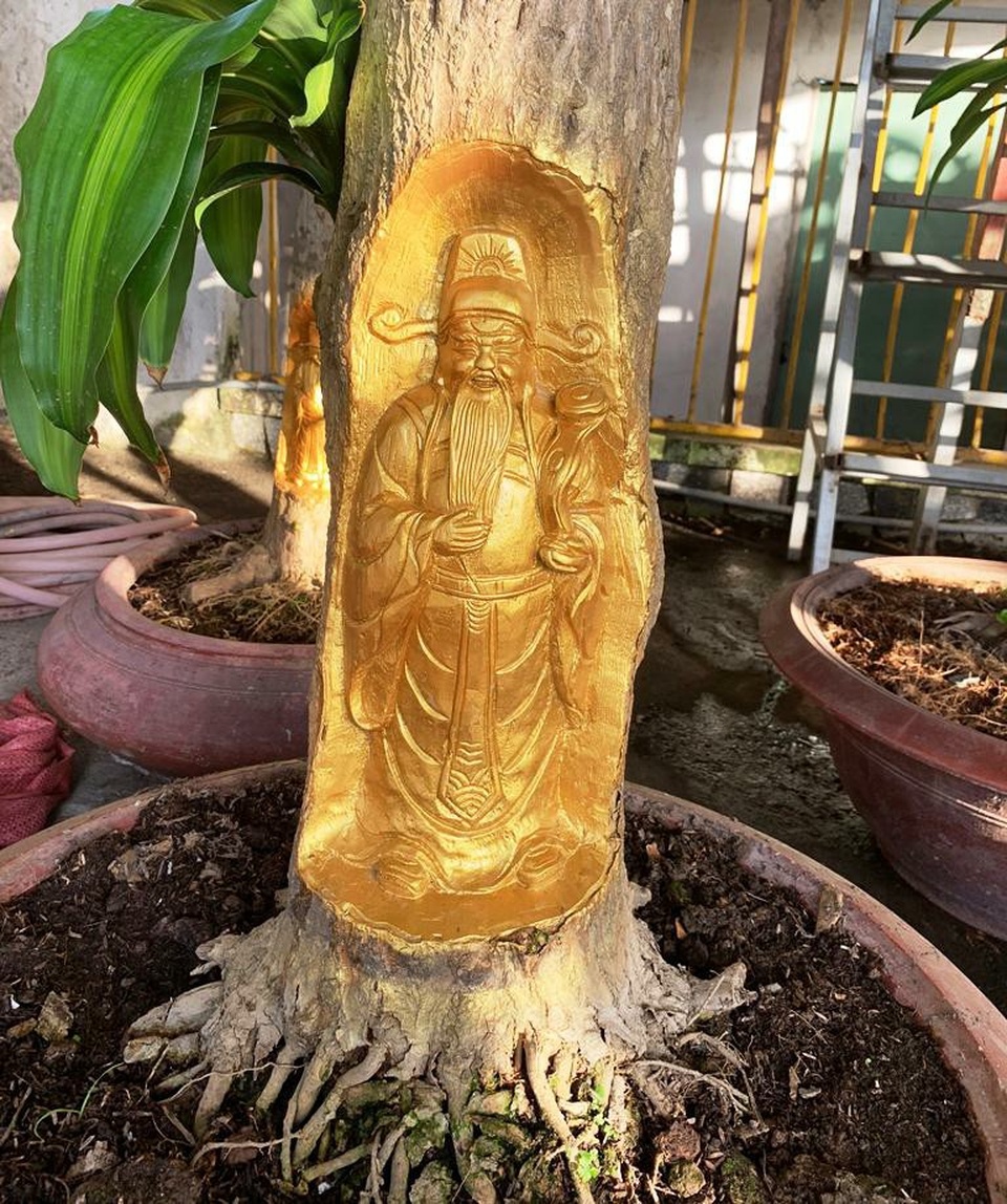 Độc đáo người đàn ông ở Cần Thơ dát vàng lên gốc cây - 7 Độc đáo người đàn ông ở Cần Thơ dát vàng lên gốc cây - 7