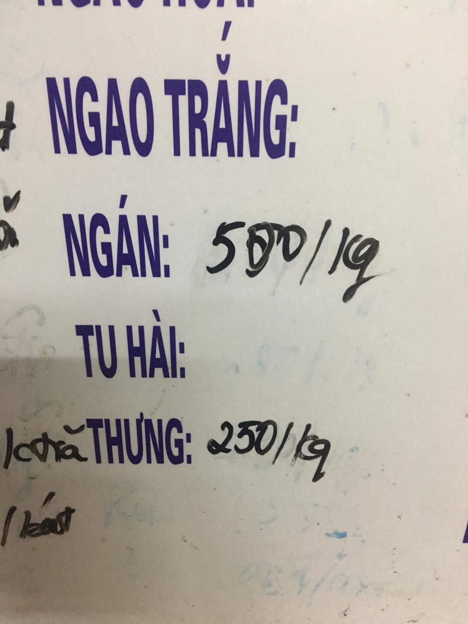 Hải sản quý giá 1 triệu đồng/kg, nghe tên “ngao ngán” mà ăn hoài không chán - 3 Giá bán lẻ ngay tại chợ Vân Đồn thấp nhất cũng đã 500.000 đồng/kg tùy hàng