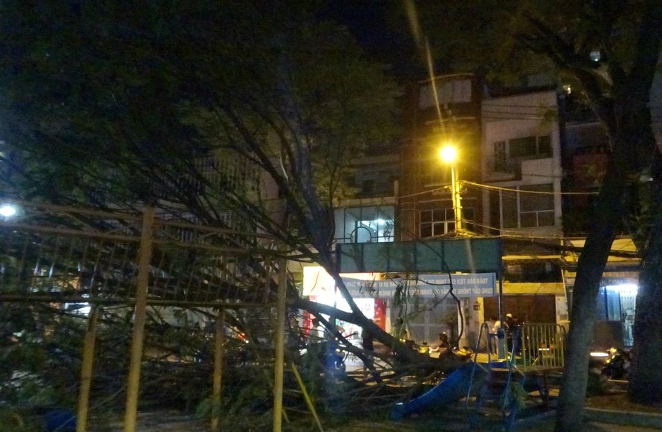 Cành cây lớn trong công viên rơi xuống đè 2 bé gái bị thương - 1 Hiện trường vụ việc