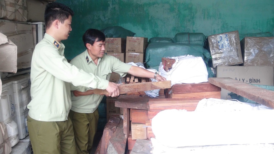 Bắt gần 2 tấn gỗ hương, trắc không giấy tờ - 1 Lực lượng chức năng đang kiểm tra xe tải chở gỗ lậu