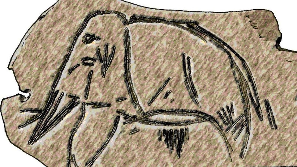 ADN cư dân Kỷ Băng hà lí giải sự  kế  thừa hệ gen Neanderthal - 1 ADN cư dân Kỷ Băng hà lí giải sự  kế  thừa hệ gen Neanderthal - 1