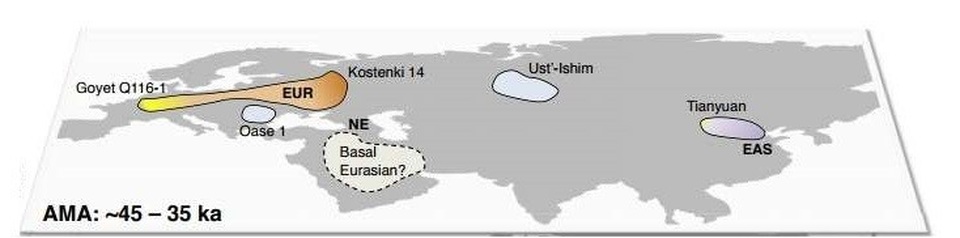 ADN cư dân Kỷ Băng hà lí giải sự  kế  thừa hệ gen Neanderthal - 2 
Vị trí những nhóm người hiện đại 35-45.000 năm trước có thể là tổ tiên của chúng ta, và những khu vực được cho là nơi sinh sống của họ - Ảnh từ tạp chí Trends in Genetics.