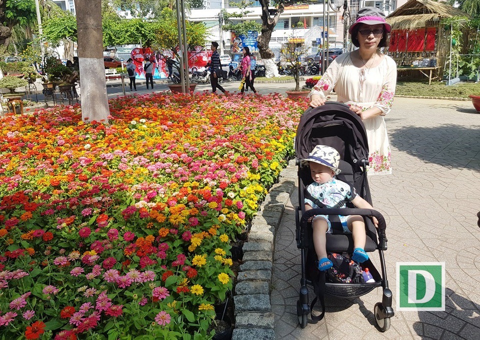 Công viên Yến Phi Nha Trang là nơi có đông người dân và du khách ghé thăm