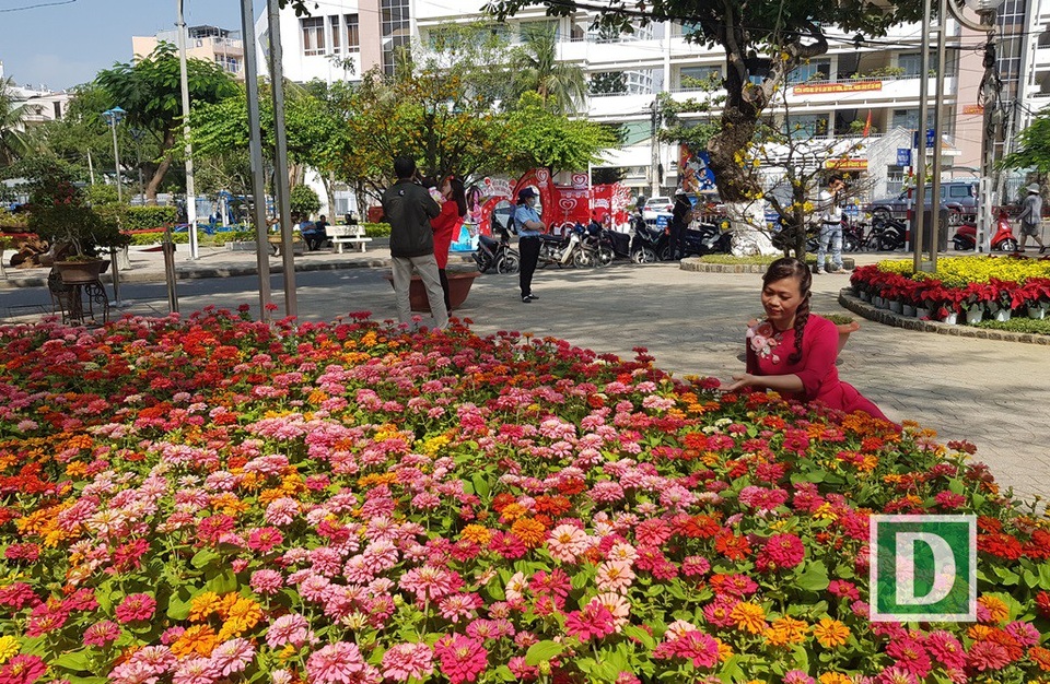 
“Vườn trăm hoa” là tâm điểm chú ý của người dân Nha Trang
