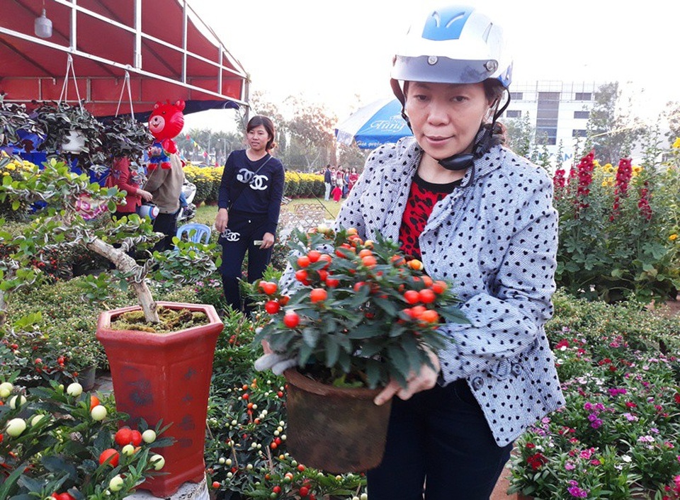 Ớt bảy màu quả chi chít “lạ mắt”, giá bình dân hút khách chơi Tết - 4 Ớt bi nhiều màu sắc rực rỡ, giá cả bình dân nên hút khách mua về chơi Tết.