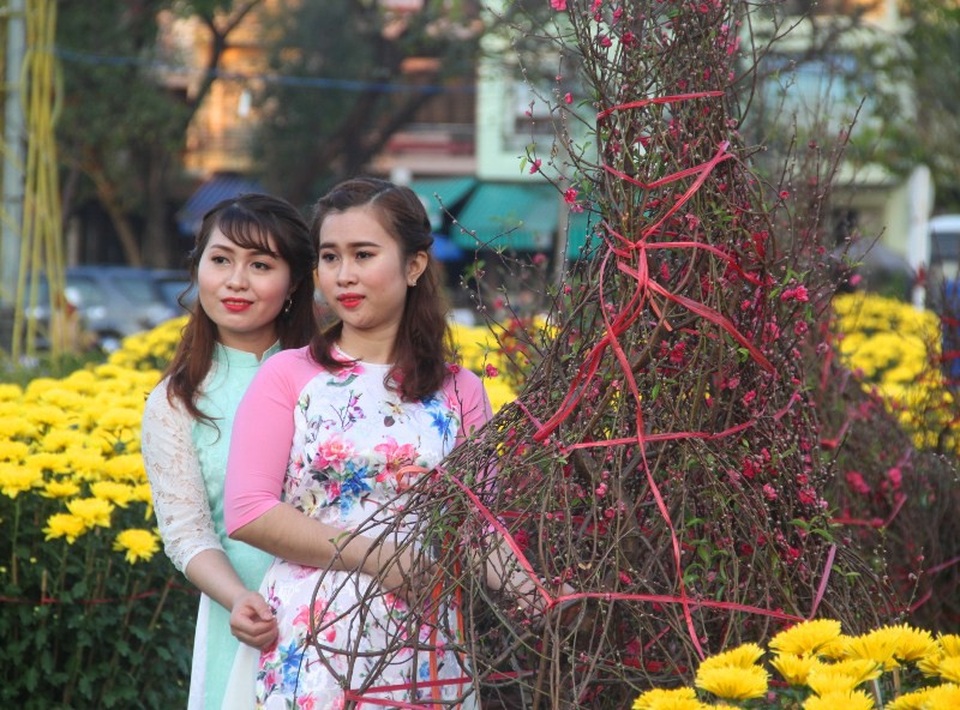 Thiếu nữ đất võ Bình Định đọ sắc bên đào Nhật Tân - 1 Đến hẹn lại lên, những ngày cận Tết Nguyên đán Mậu Tuất 2018, chợ hoa Xuân nằm ở quảng trường Trung tâm TP Quy Nhơn (Bình Định) lại rực rỡ bởi các loại hoa, cây cảnh từ hoa mai đến hoa cúc, hoa lan… Đặc biệt sự xuất hiện của hoa đào Nhật Tân từ phía Bắc vượt cả ngàn cây số đến chợ xuân Bình Định đã làm xao xuyến lòng nhiều cô gái trẻ.