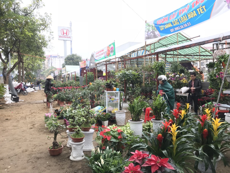Người dân đội mưa, chịu rét ra tận lề đường “tiếp thị” sắc xuân - 7 Nhiều cửa hàng hoa vắng tang trong cái lạnh đến tê người.