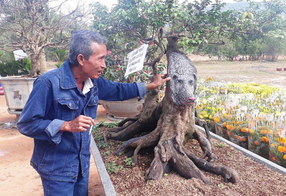 Cây khế cảnh hình chó giá 400 triệu đồng - 2
Cây khế của ông Mến đang được rao bán với giá 400 triệu đồng