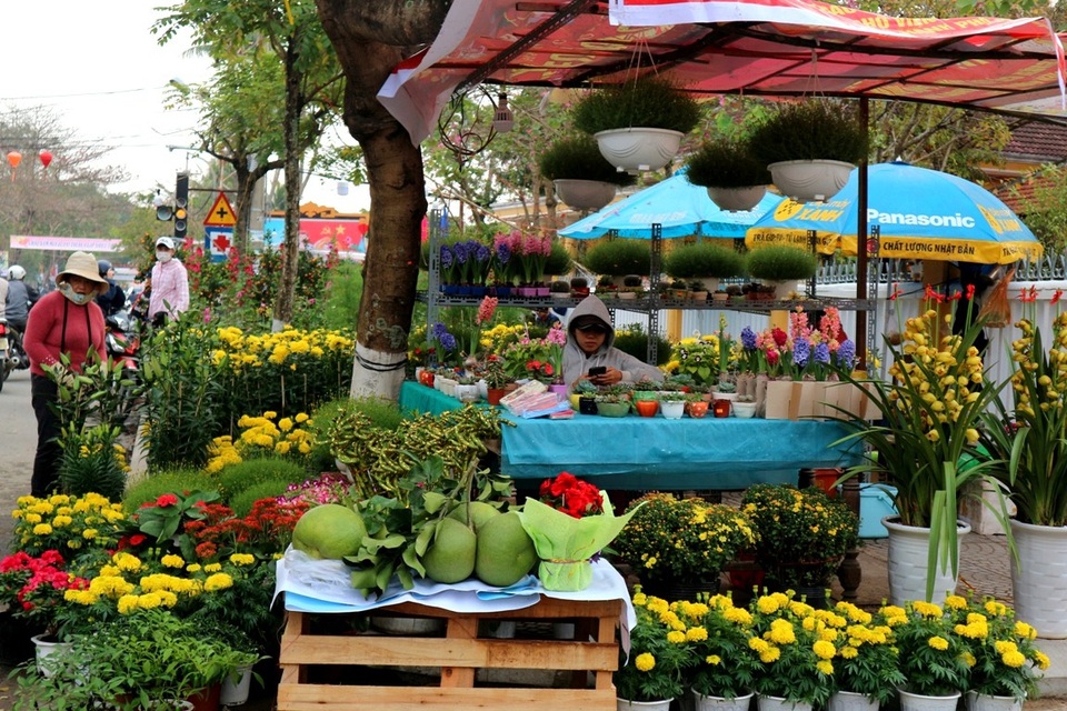 Hội An: Hoa Tết tăng giá, sức mua giảm - 1 Hoa, cây cảnh tăng giá hơn so với năm ngoái nhưng sức mua giảm