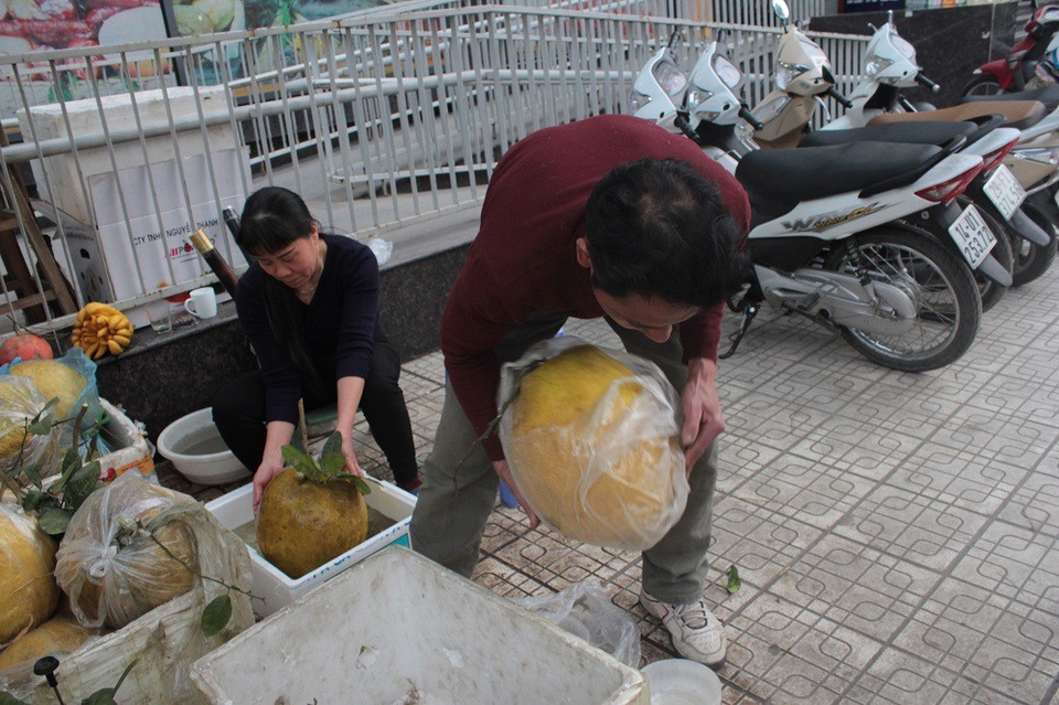 Độc đáo bưởi “khổng lồ” 10kg, giá bạc triệu một quả ở Hà Nội - 8 Chủ một cửa hàng trên đường Lạc Long Quân, đánh rửa vỏ bưởi cho vàng bóng trước khi mang bày bán ra thị trường