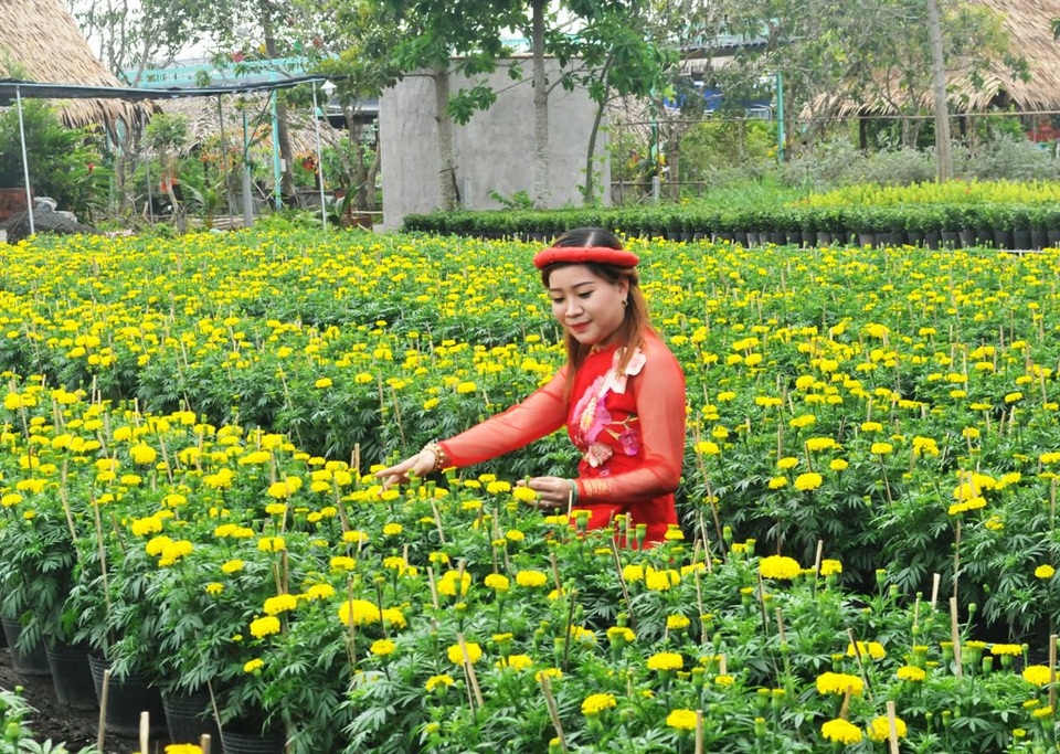 Từ làng quê ra phố ngập tràn sắc Xuân - 2
Nhiều bạn trẻ đến đây chụp ảnh lưu niệm...