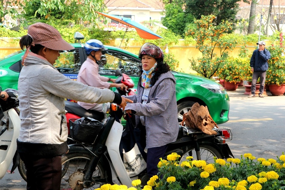 Hội An: Hoa Tết tăng giá, sức mua giảm - 4 Nhiều khách đi đọ giá để tìm hiểu trước khi mua, nhiều người nghe giá khá cao nên chỉ đi xem cho biết