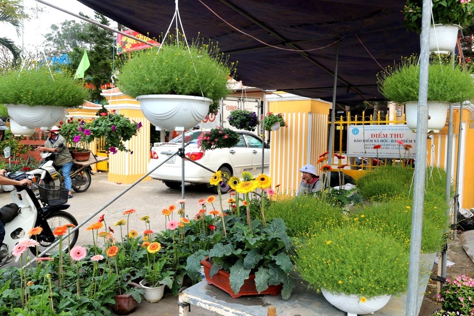 Hội An: Hoa Tết tăng giá, sức mua giảm - 5 Các loại hoa khác giá tăng khoảng 10-20%, riêng các loại hoa treo giá vẫn ổn định