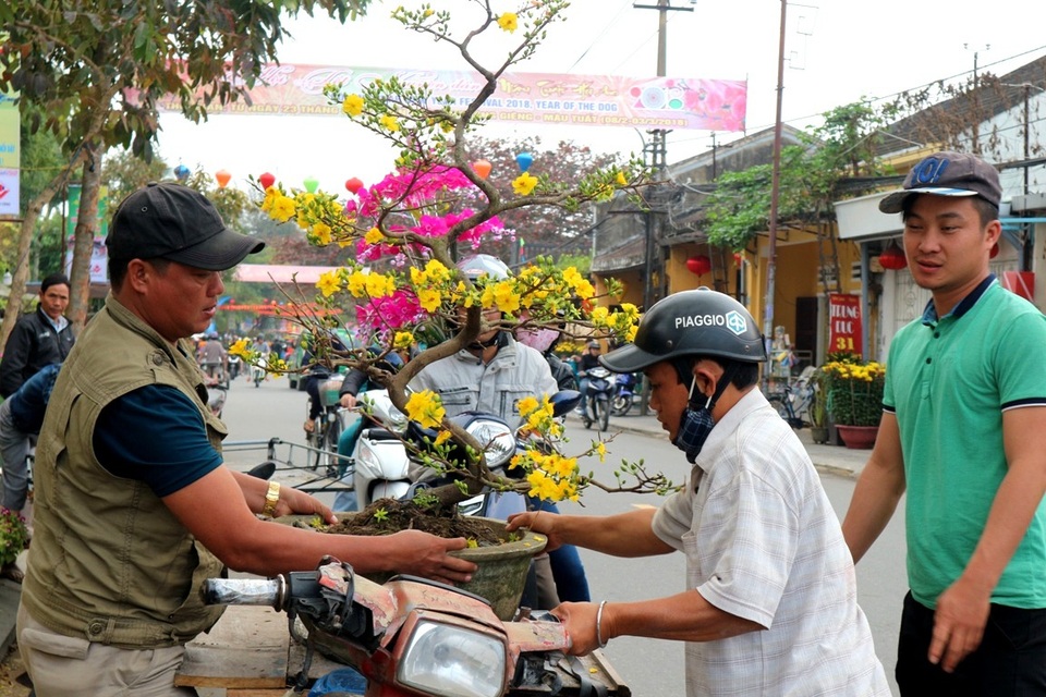 Hội An: Hoa Tết tăng giá, sức mua giảm - 7 Nhiều người xuống phố mang sắc xuân về nhà