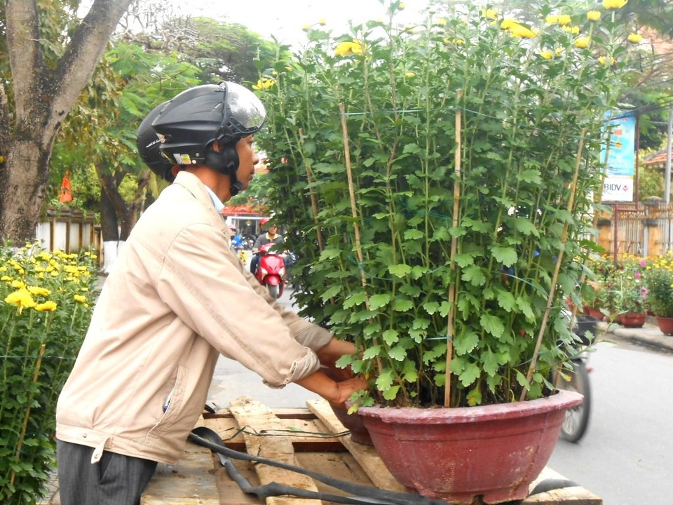 Những nghề “hái ra tiền” mỗi dịp Tết về - 8 Khi những chợ hoa xuân bắt đầu thì cũng là lúc những người chở thuê cũng bắt đầu công việc của mình. Họ thường là những người dân nông, thợ hồ, xe thồ…giáp tết lại tranh thủ kiếm thêm thu nhập