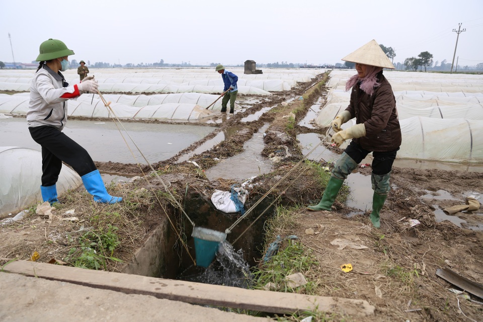 Bắc Ninh treo thưởng 100 triệu đồng cho huyện cấy đúng tiến độ - 3 Bà con nông dân tích cực lấy nước chuẩn bị gieo cấy.