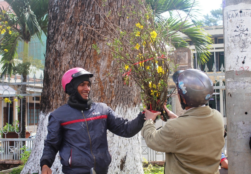 Một bó mai rừng nhỏ có giá hơn 300 ngàn đồng.