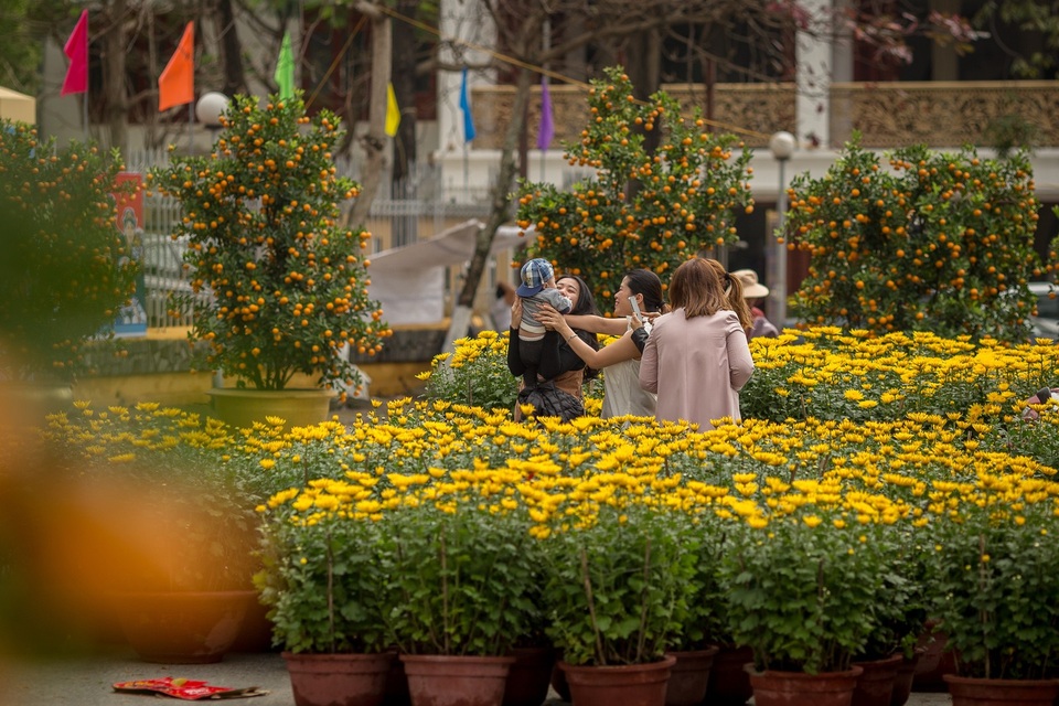 Đường hoa rực rỡ sắc xuân