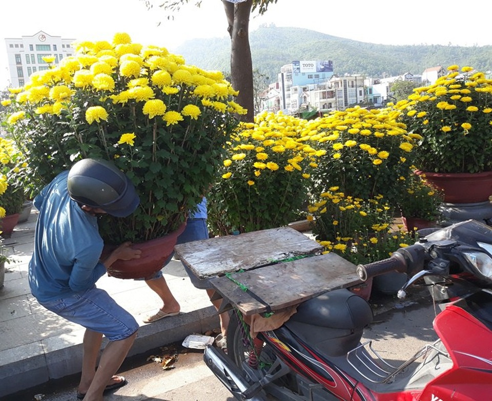 Chợ hoa Tết chiều 29, cúc, đào vẫn ế vì đâu? - 3
Người dân bắt đầu mua hoa chở về nhà nhưng so với năm ngoái sức mua vẫn chậm.