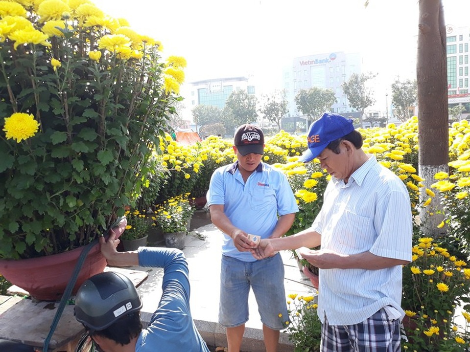 Chợ hoa Tết chiều 29, cúc, đào vẫn ế vì đâu? - 4 Mấy ngày đầu, chậu cúc thế này anh Sin bán 600.000 đồng/chậu, nhưng càng về cuối bị ép xuống chỉ còn 350.000 đồng.