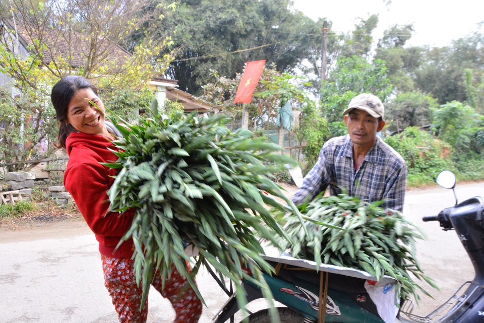 Làng hoa lay ơn "hốt bạc" dịp Tết sau 4 năm trắng tay vì mưa lũ - 2 Niềm vui người trồng hoa Nghĩa Hà trong phiên chợ cuối năm