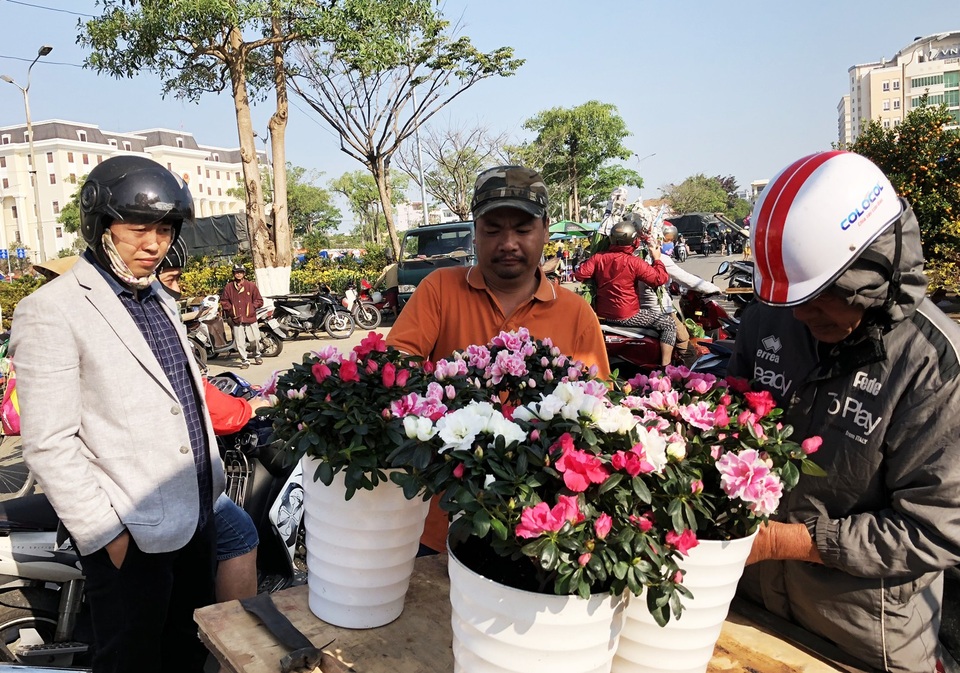 29 Tết, hoa ngập phố nhưng vẫn chưa treo biển giảm giá - 1 29 Tết, hội chợ hoa xuân Đà Nẵng vẫn thưa thớt người mua