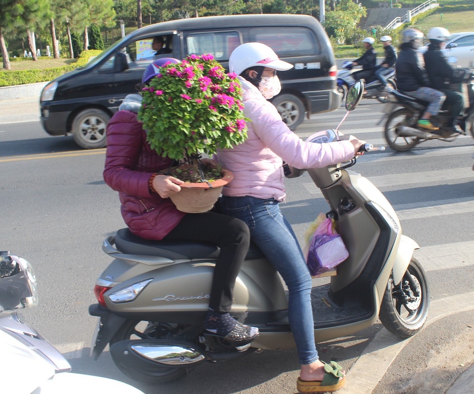 Mai vàng lùn, hoa kiểng mini "đổ bộ" Đà Lạt, hút hàng ngày cận Tết - 4 Các loại hoa giấy mini cũng hút hàng dịp này