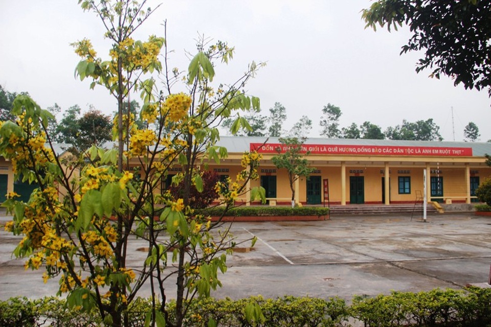 Tết không gia đình vẫn đoàn viên nơi biên cương - 3 Mai nở khoe sắc trên biên cương dịp Xuân về