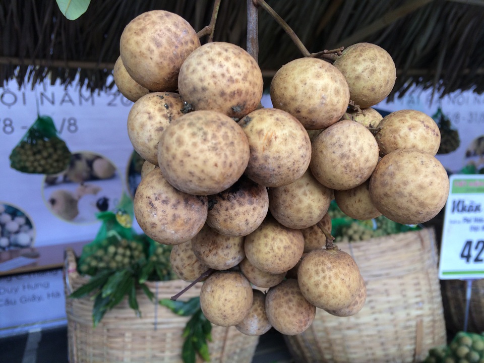 Về xứ Đông ăn rươi An Định, ăn bánh “tam vương” - 6