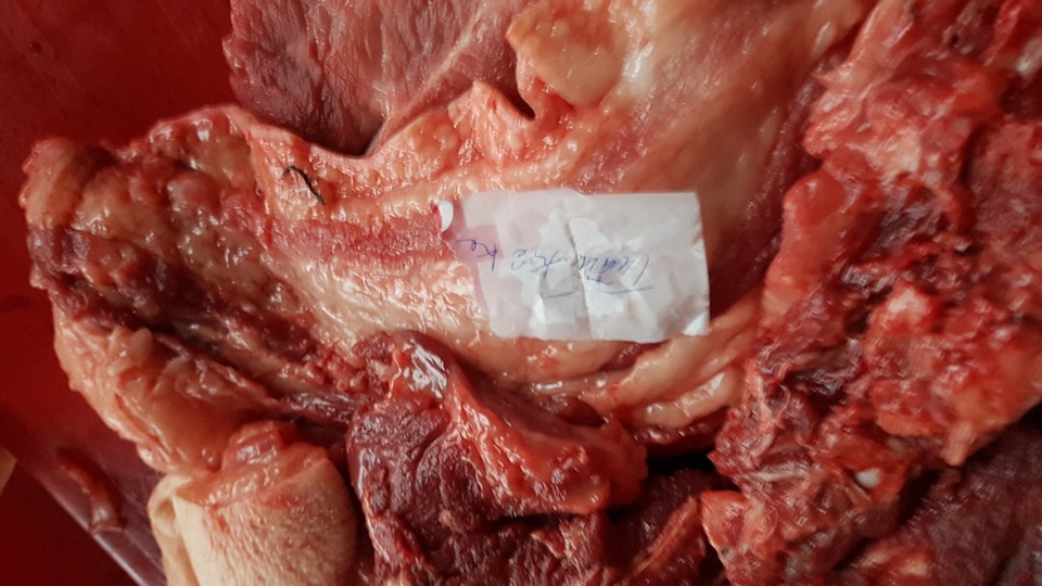 30 Tết, thôn xóm hồ hởi chia thịt bò, heo “nuôi chung” - 5