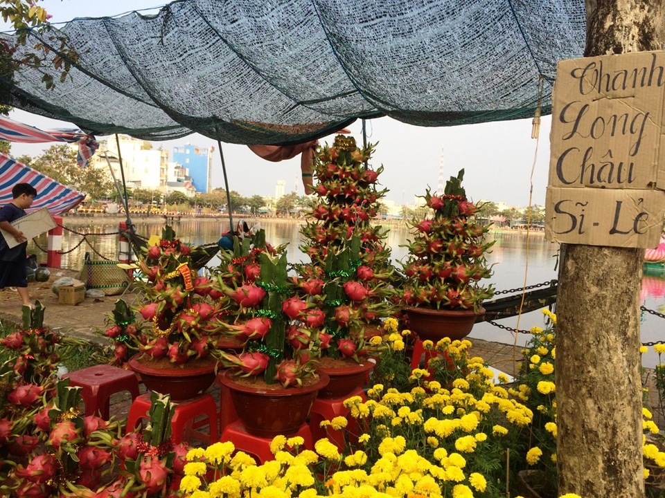 30 Tết, hoa bắp cải, ớt, đậu cảnh... ế ngập phố - 7 Thanh long vào chậu