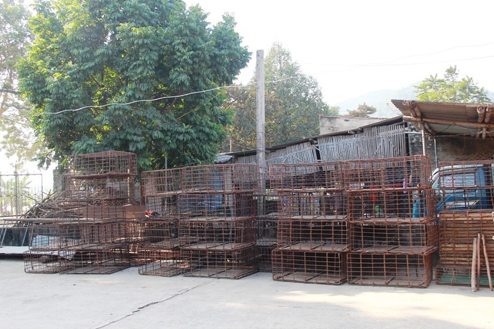Những chiếc lồng sắt nằm chỏng chơ khi nghề buôn chó đã hết thời