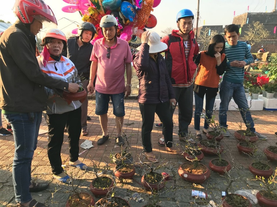 Người dân mua hoa mai khi tiểu thương bán phá giá
