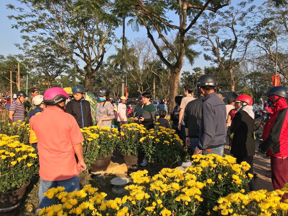 Hoa cúc cũng được người dân Huế ưa chuộng - chiều 30 Tết bán với giá rẻ