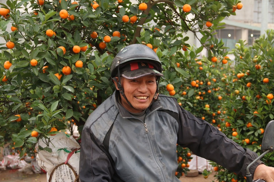 Hà Nội: Quất cảnh ngày 30 Tết "giá nào cũng bán" - 4
Ông Lê Văn Minh (quê Quốc Oai, Hà Nội) vẫn miệt mài chở quất thuê dù hôm nay đã là 30 Tết. Tôi sẽ làm cho đến khi nào các chủ buôn quất dọn hết hàng mới về, ông Minh chia sẻ.