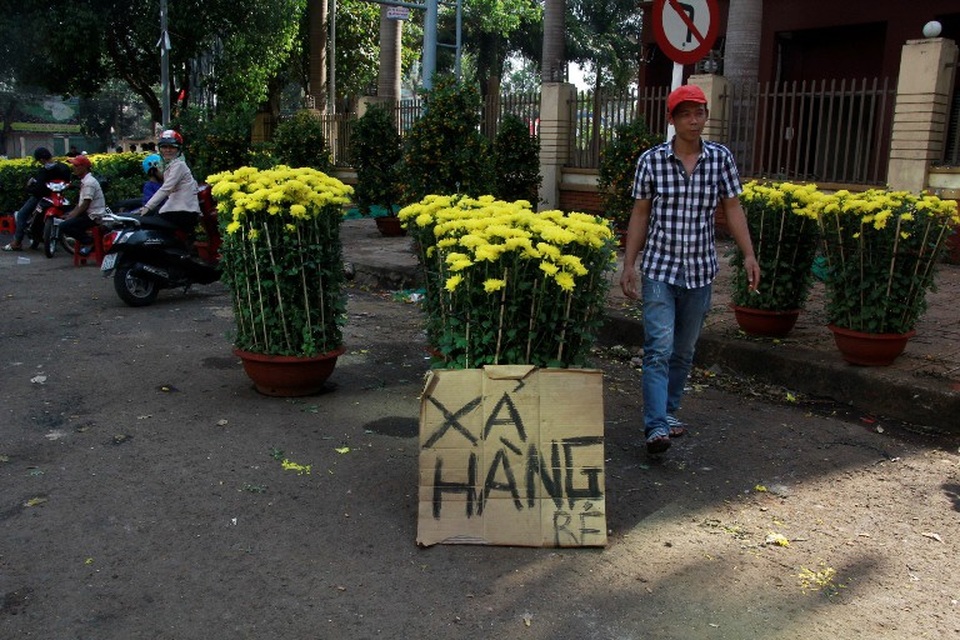 Hàng loạt tấm bảng xả hàng hoa cúc được treo để kịp bán trong ngày 30 Tết