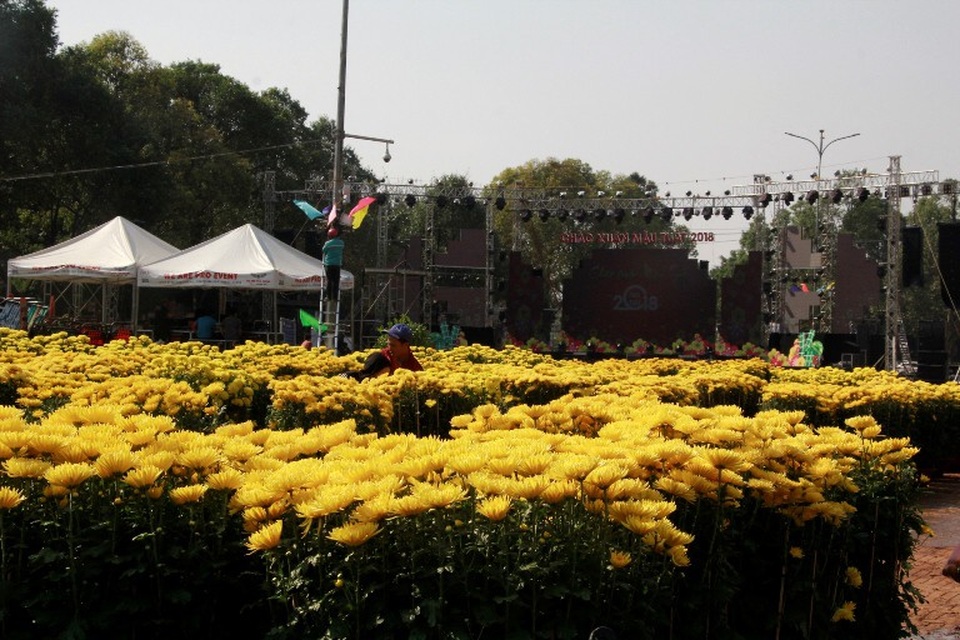 Nhiều tiểu thương lo lắng khi số hoa vẫn còn rất nhiều nhưng lại sắp phải bàn giao lại mặt bằng