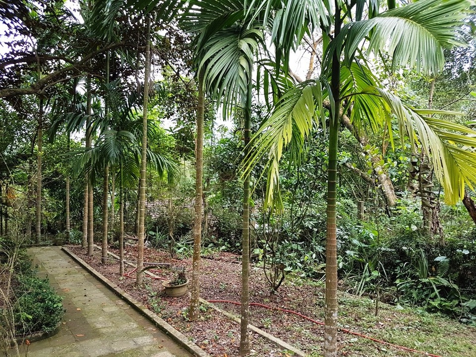 Đầu xuân ghé thăm nhà lưu niệm chí sĩ Phan Châu Trinh - 6 Hàng cau bên cạnh nhà chính