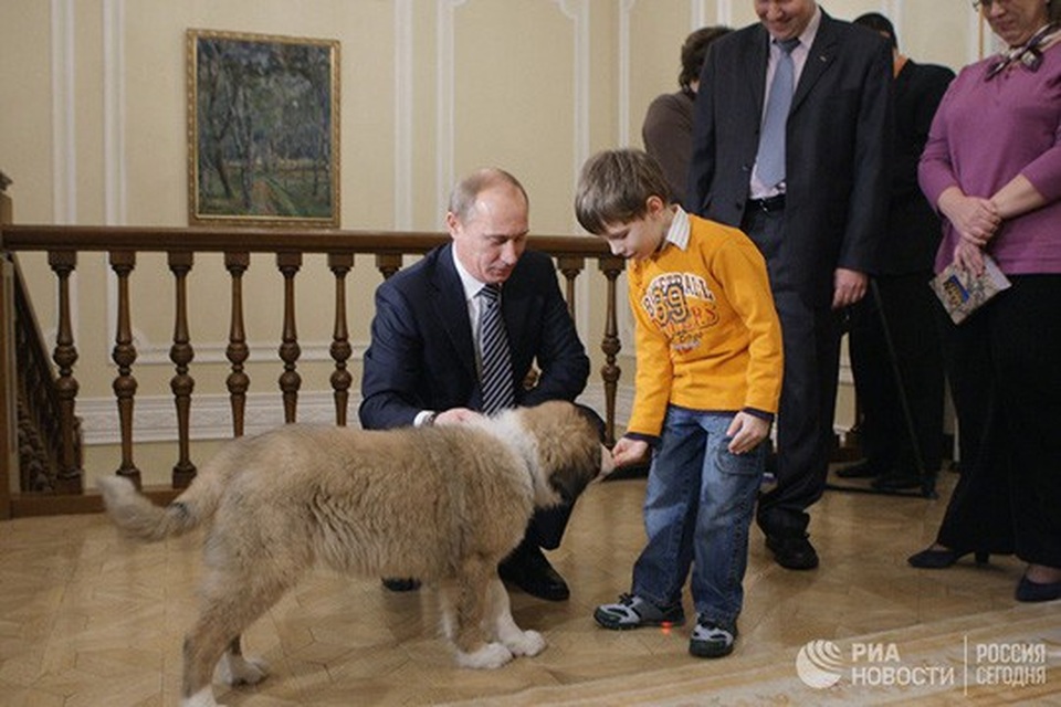 Chó cưng của Tổng thống Putin - 5
Cậu bé Dima, 5 tuổi, người chiến thắng trong cuộc thi đặt tên cho con chó Bulgaria của ông Putin, làm quen với con chó con hôm 9-12-2010. Ảnh: RIA NOVOSTI