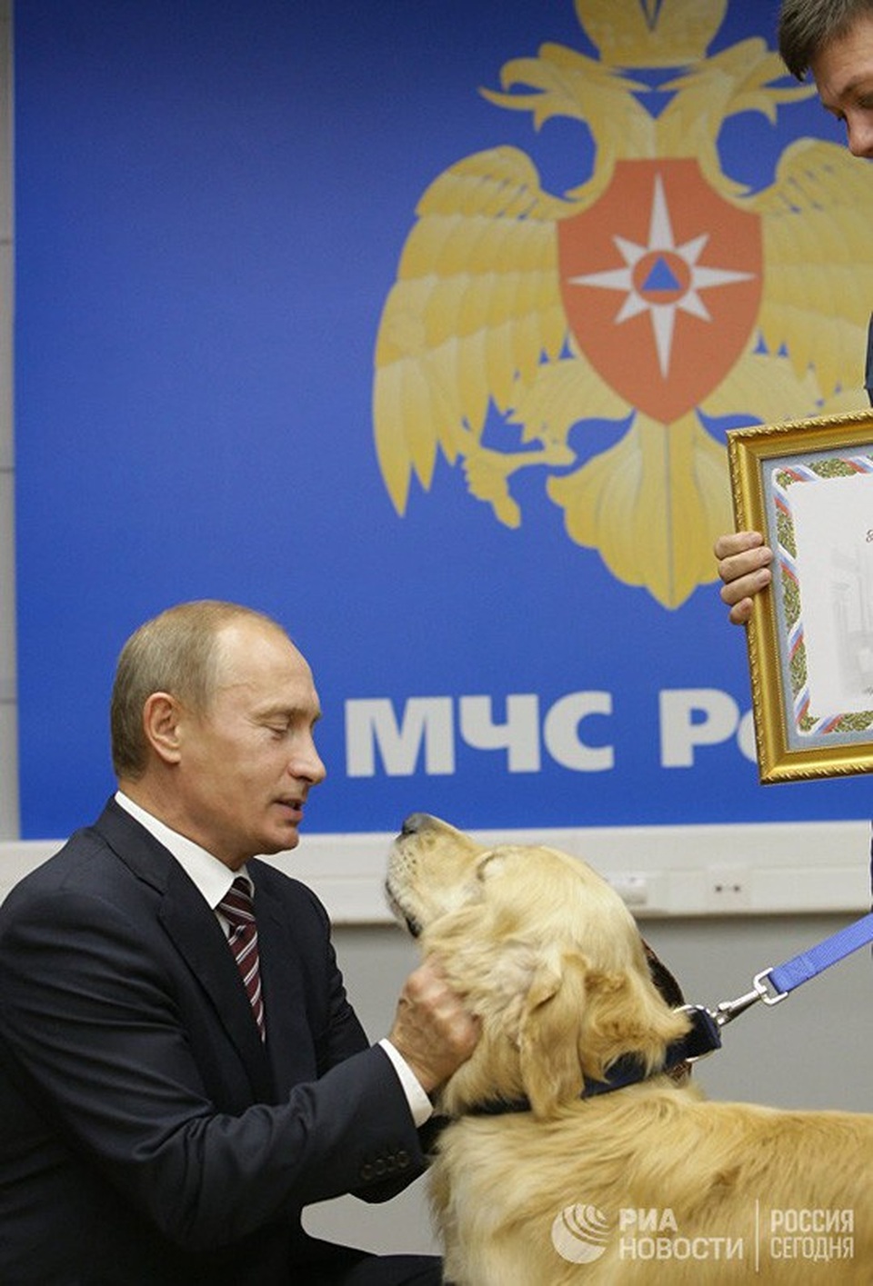 Chó cưng của Tổng thống Putin - 10
Ông Putin nựng một con chó cứu nạn của Bộ Tình huống Khẩn cấp Nga. Ảnh: RIA NOVOSTI