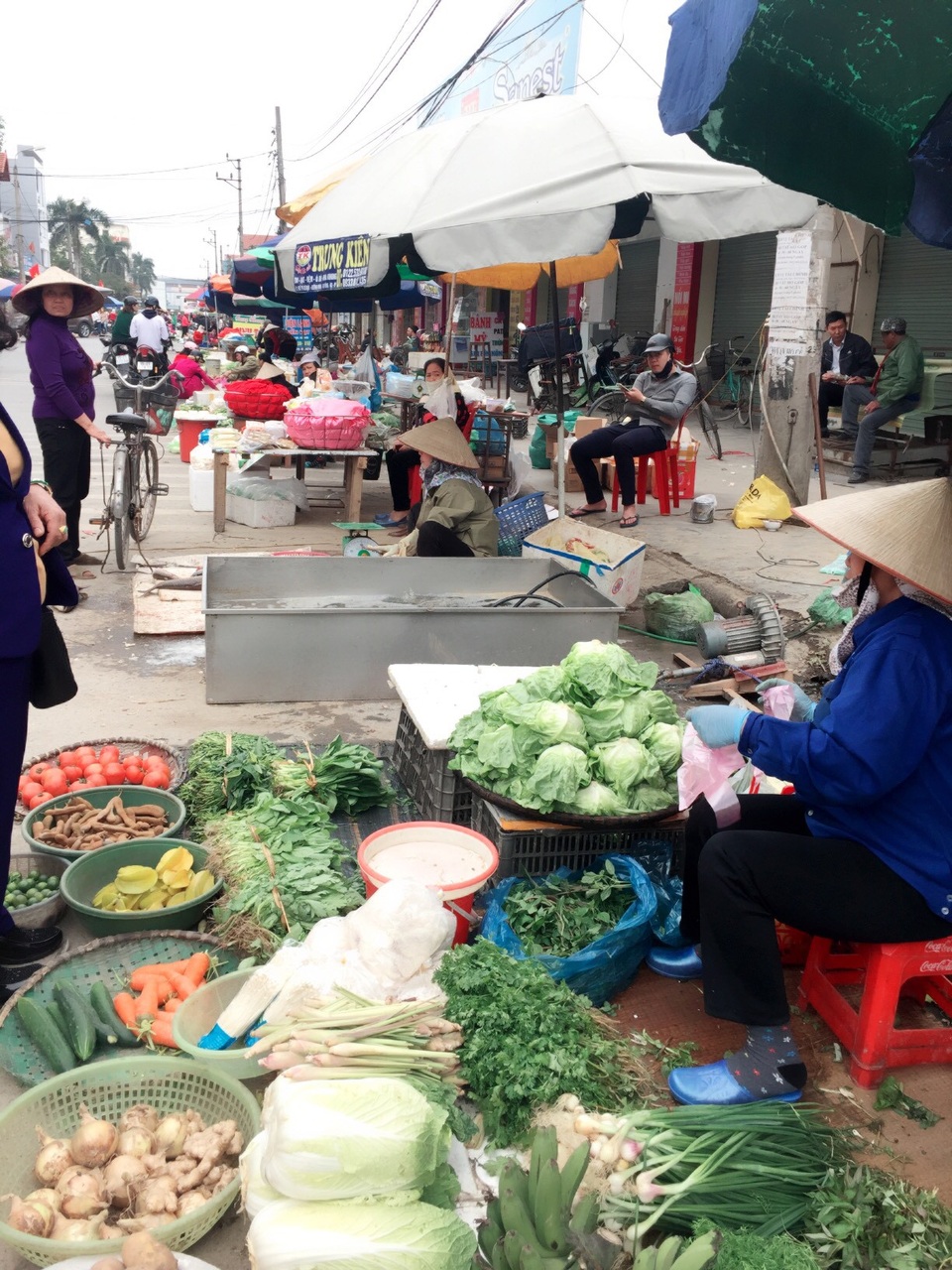 Thực phẩm ngày Tết không khan hiếm - 1 Thực phẩm ngày Tết không khan hiếm - 1