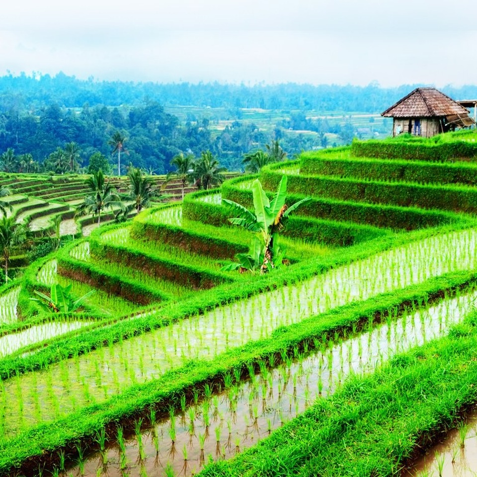 Những kì nghỉ lãng mạn nhất cho tuần trăng mật - 4