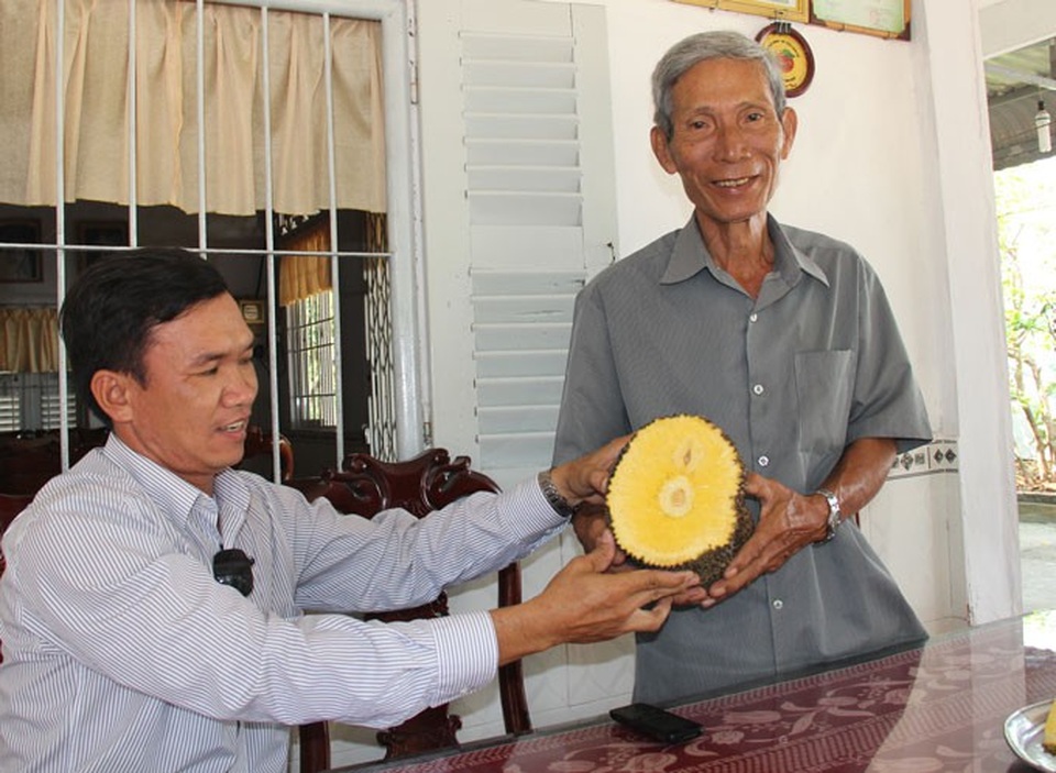 Đầu năm gặp “cha đẻ” mít không hạt, không mủ, ăn được cả xơ - 2 Ông Mẫn khoe mít không hạt với khách tham quan. Ảnh: Huỳnh Xây
