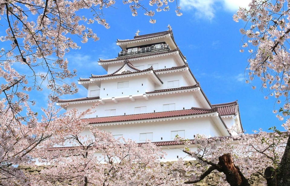 
Nhật Bản – điểm đến ngắm hoa anh đào lý tưởng nhất thế giới
