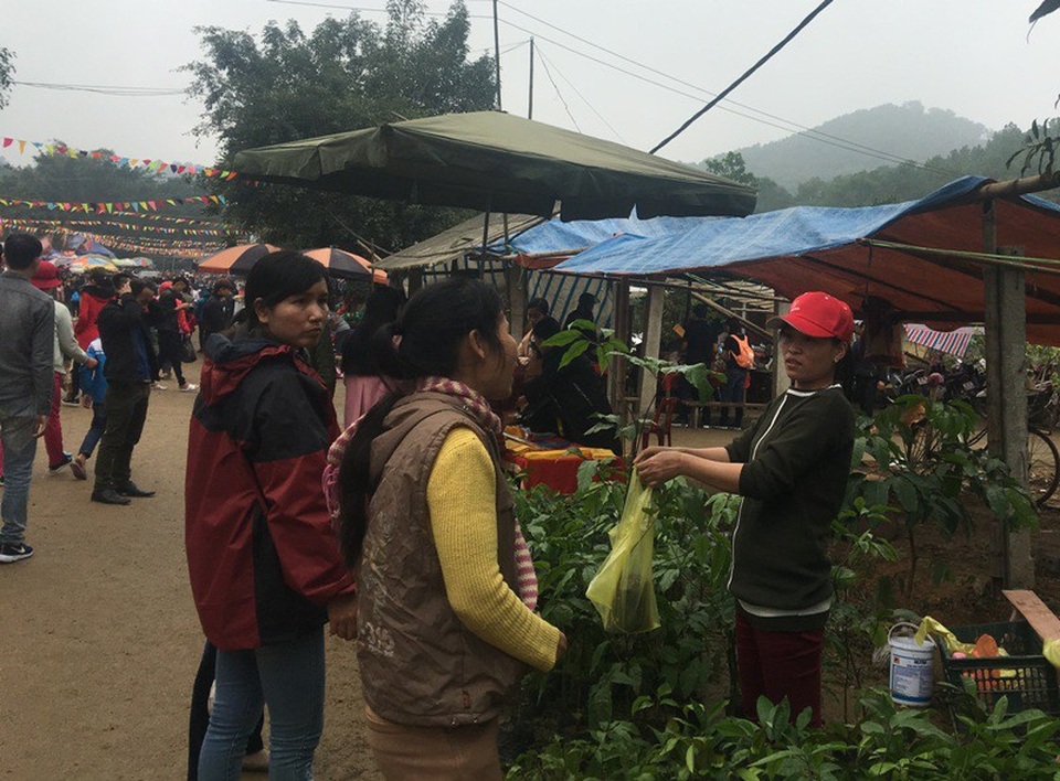 Sau khi dâng hương và thăm thú cảnh chùa, nhiều người còn chọn mua cho mình một loại cây giống về nhà với mong muốn một năm mới có nhiều tài lộc.