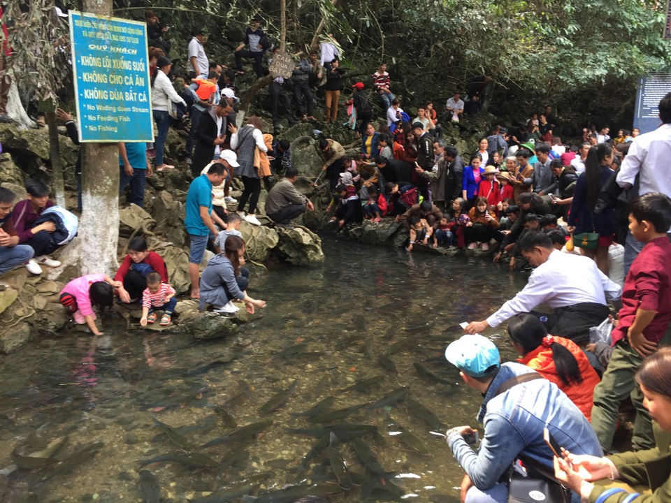 Mướt mồ hôi chen chân đi xem "cá thần" - 10
Càng vào sâu trong đầu nguồn (đầu nguồn con suối chảy ra từ khe núi, nơi cá tập trung với mật độ dày đặc), lượng người càng đông.