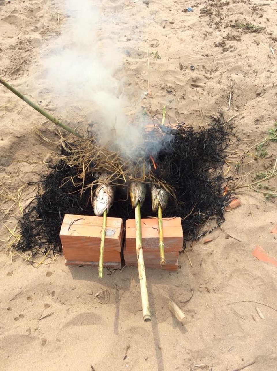 Cá lóc nướng trui...