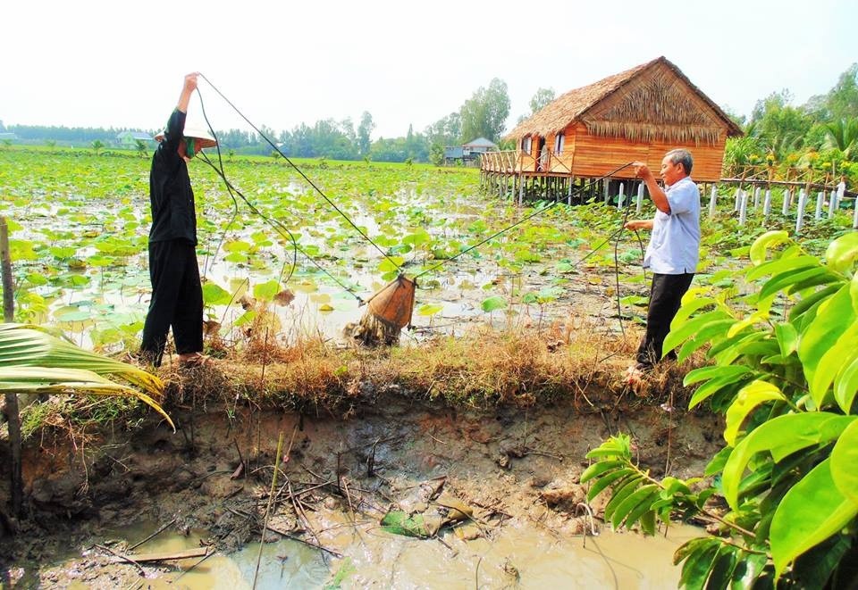 Một bạn trẻ trải nghiệm tát ao với ông chủ homestay ông Nguyễn Bé Tư