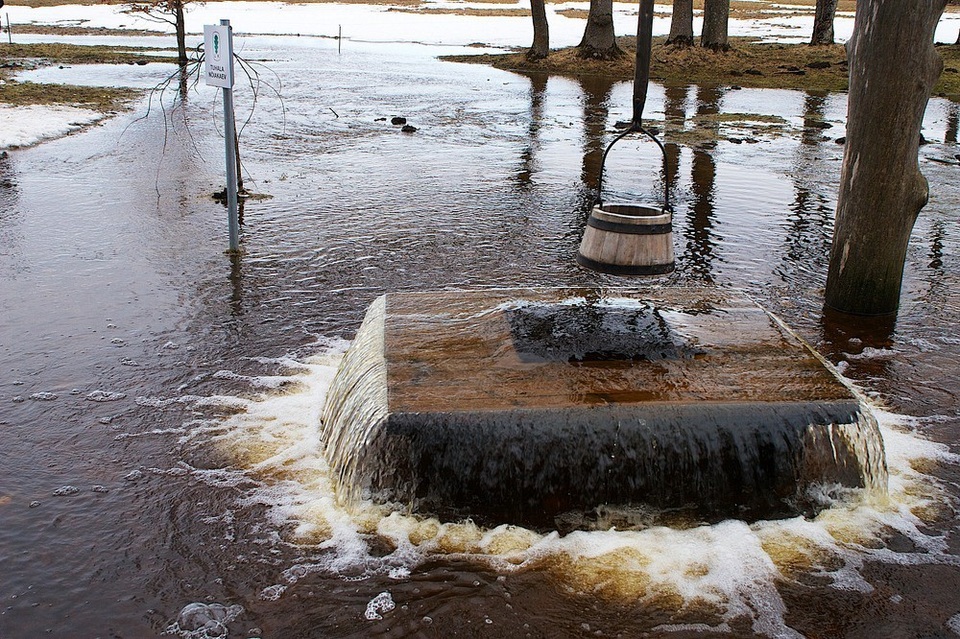 Hiện tượng lạ: Cây cổ thụ biết trào nước xối xả như... vòi phun - 3 Người ta gọi đó là Giếng Phù thủy